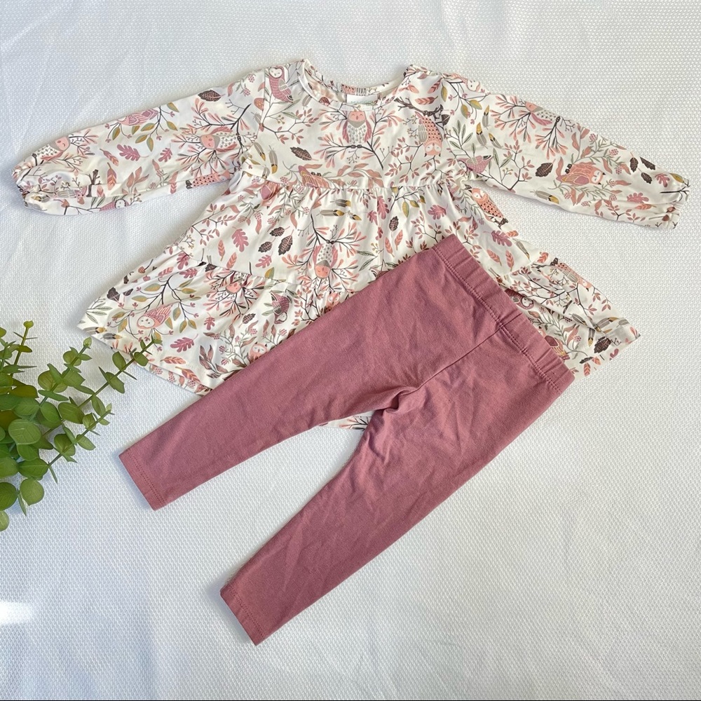 Baby Girl Long Sleeve Outfit -18m
